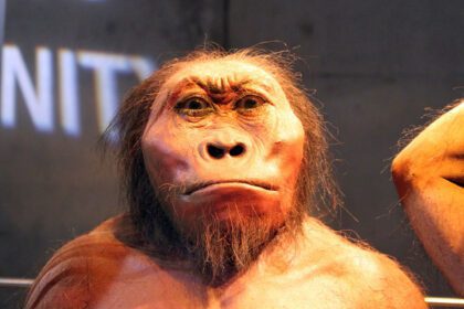 Los humanos casi nos extinguimos hace 900 000 años