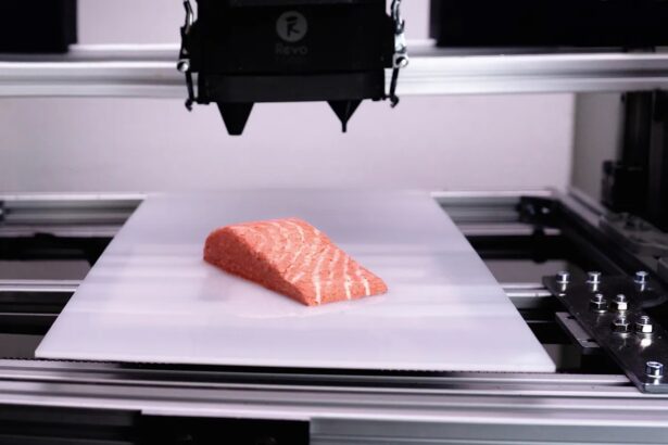 El primer salmón vegano del mundo impreso en 3D ya está en los supermercados -Revista Interesante