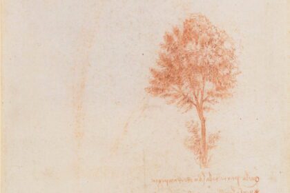 Investigadores refutan la ‘regla de los árboles' de Leonardo da Vinci