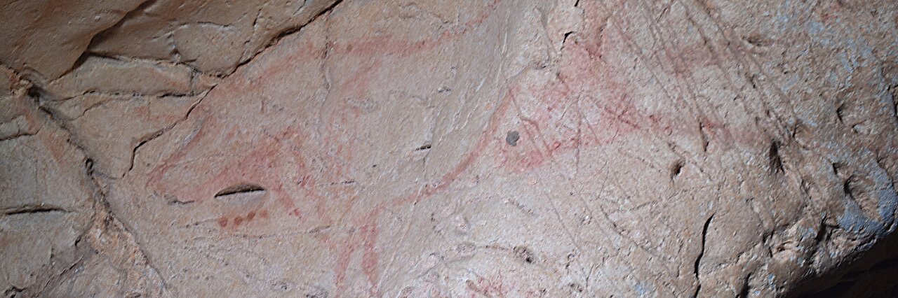 El arte rupestre de la Edad del Hielo está influido en parte por el fenómeno de la pareidolia -Revista Interesante