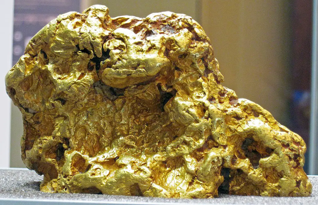 La bacteria que se alimenta de metales pesados ​​tóxicos y elimina las pepitas de oro