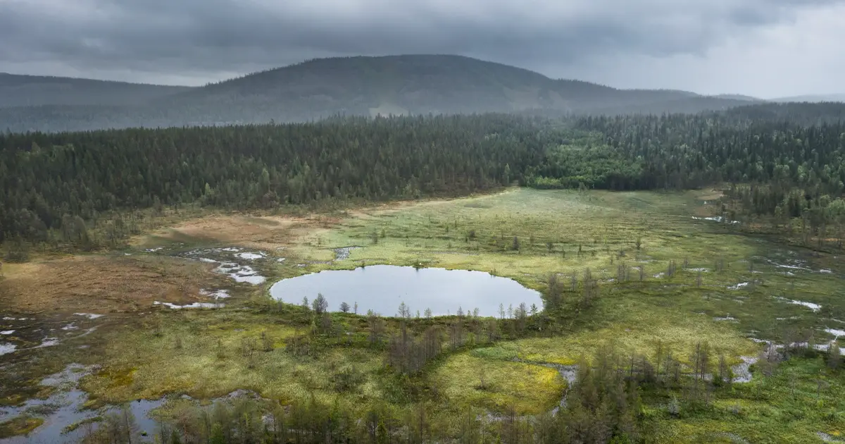 El suceso en Siberia en el que más de 80 millones de árboles fueron destruidos en pocos segundos -Revista Interesante