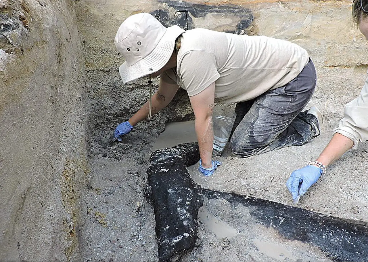 Arqueólogos descubren la estructura de madera más antigua del mundo