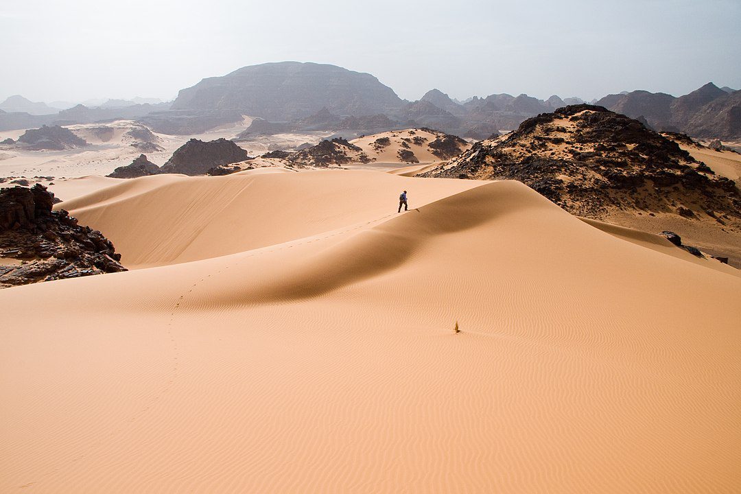 ¿Qué hizo realmente que el desierto del Sahara pasara de ser un bosque frondoso a convertirse en un desierto?