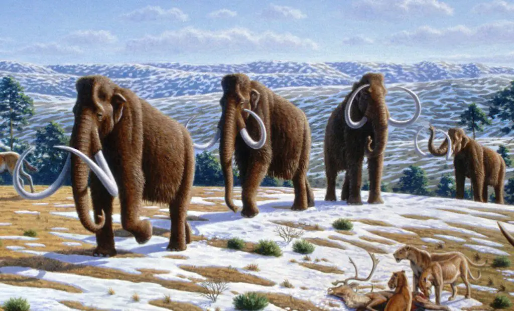 El misterio de los fósiles de mamut, descubiertos congelados en Siberia