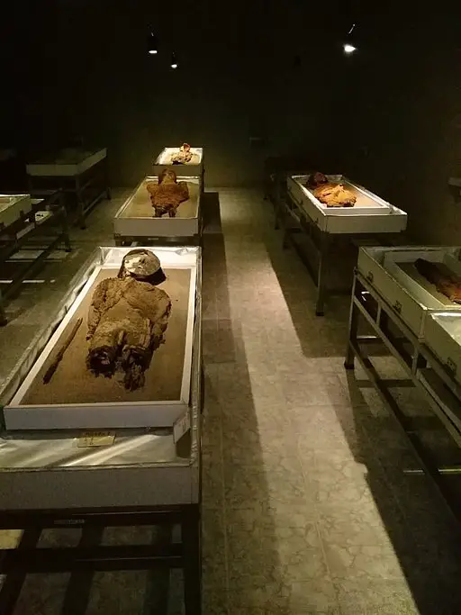 Chinchorro: las momias más antiguas del mundo, enterradas en el desierto de Atacama