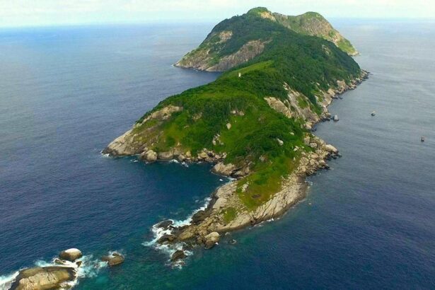 La Isla de las Cobras: un paraíso tan peligroso que está prohibido entrar -Revista Interesante