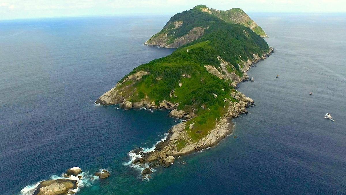 La Isla de las Cobras: un paraíso tan peligroso que está prohibido entrar -Revista Interesante