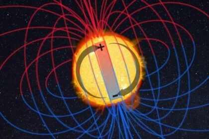 Los polos magnéticos del Sol están desapareciendo.  ¿Cómo se verá afectada la Tierra por esto? -Revista Interesante