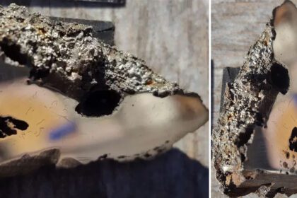 Un meteorito que cayó en Somalia en 2020 contiene al menos dos minerales nunca antes vistos -Revista Interesante