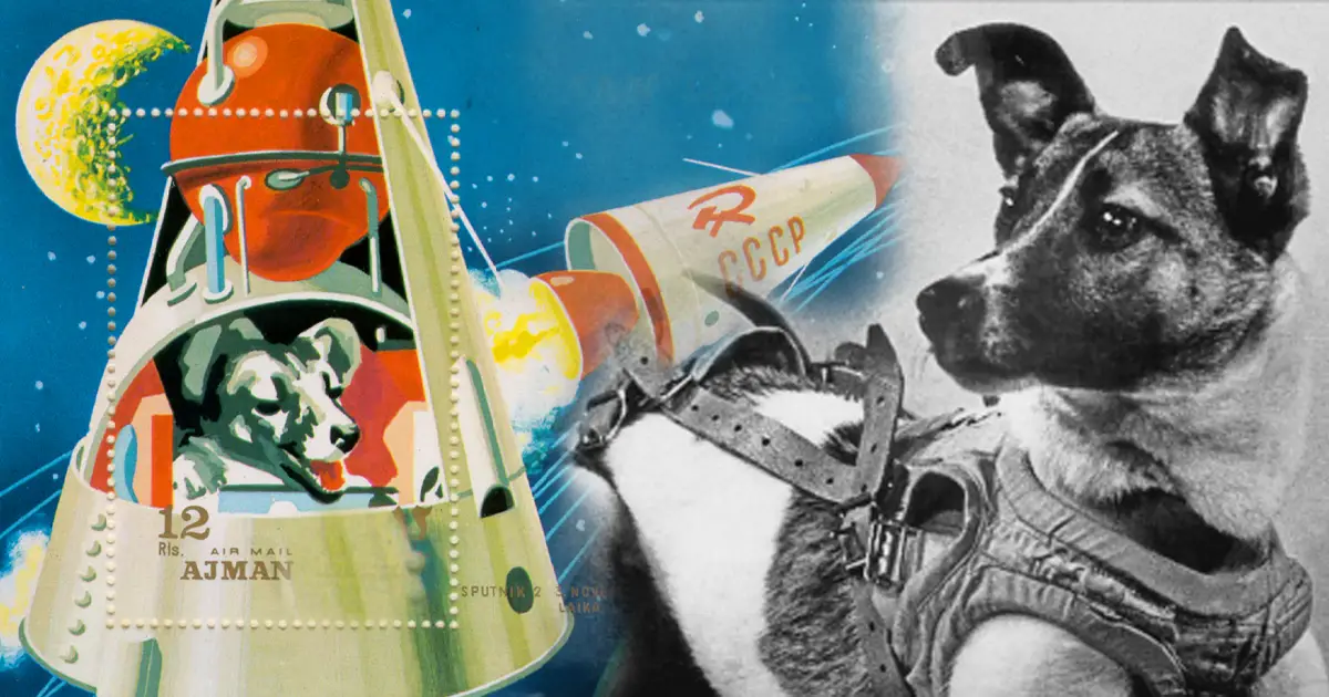 La cachorrita Laika, la apasionante historia del primer animal enviado al espacio exterior -Revista Interesante