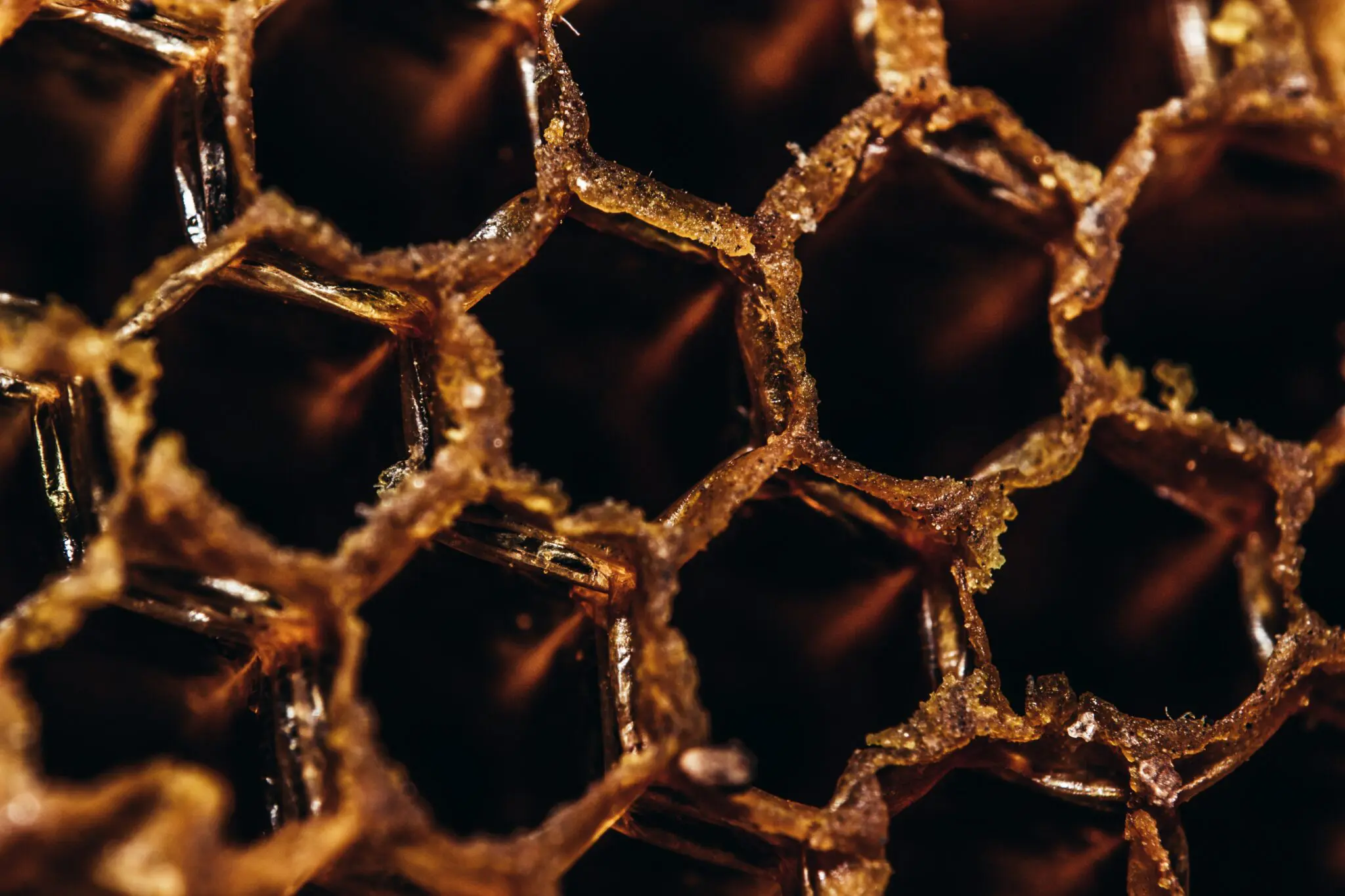 ¿Por qué los panales de abejas están hechos de células hexagonales?