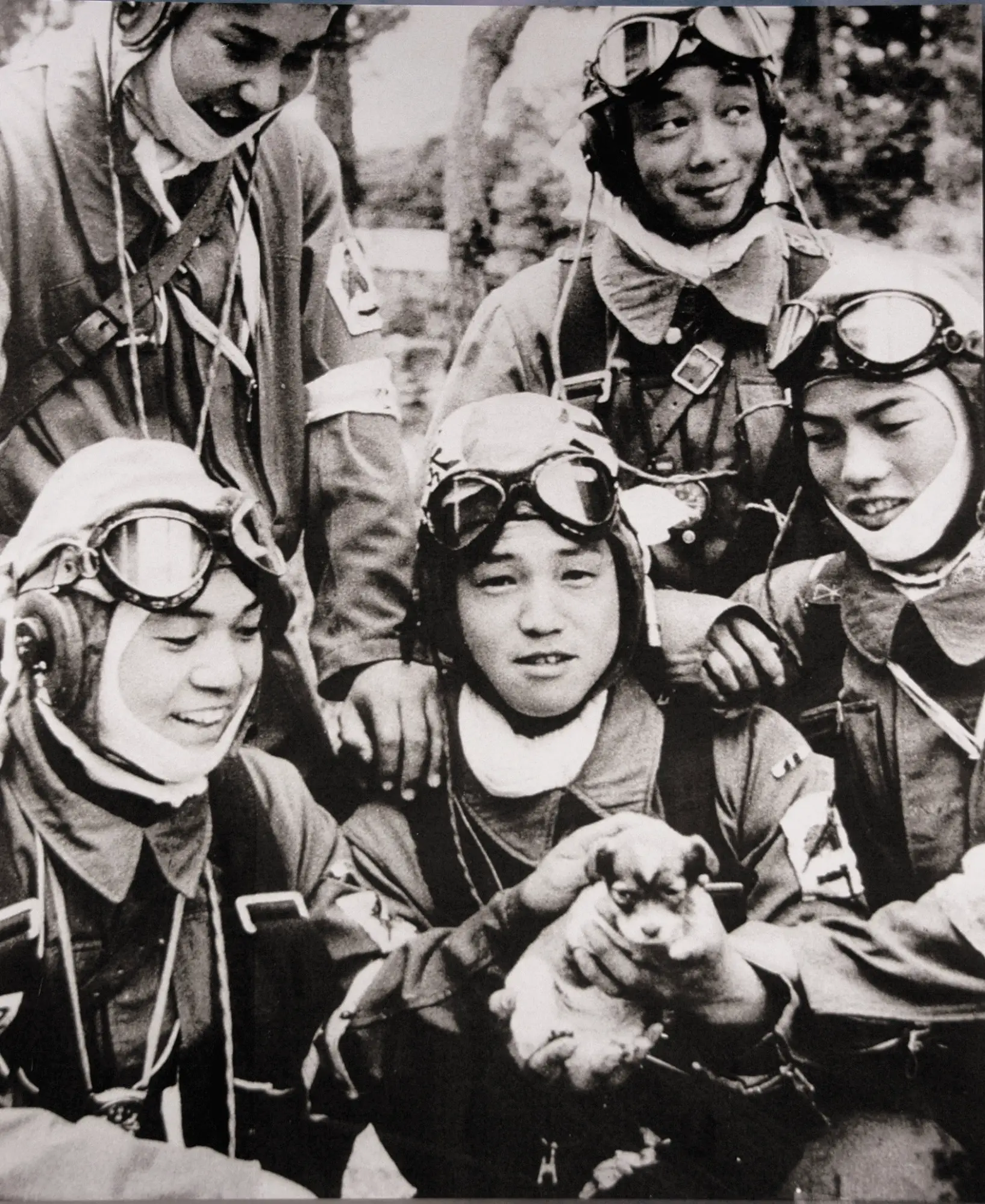 7 datos interesantes sobre los guerreros kamikaze, los pilotos suicidas de Japón