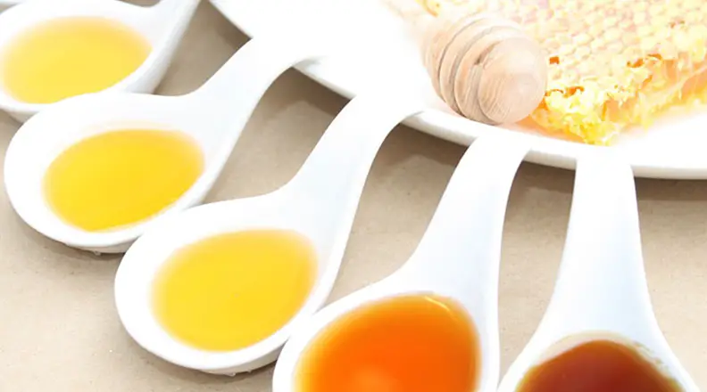 ¿Cómo se diferencia entre miel natural y falsa?