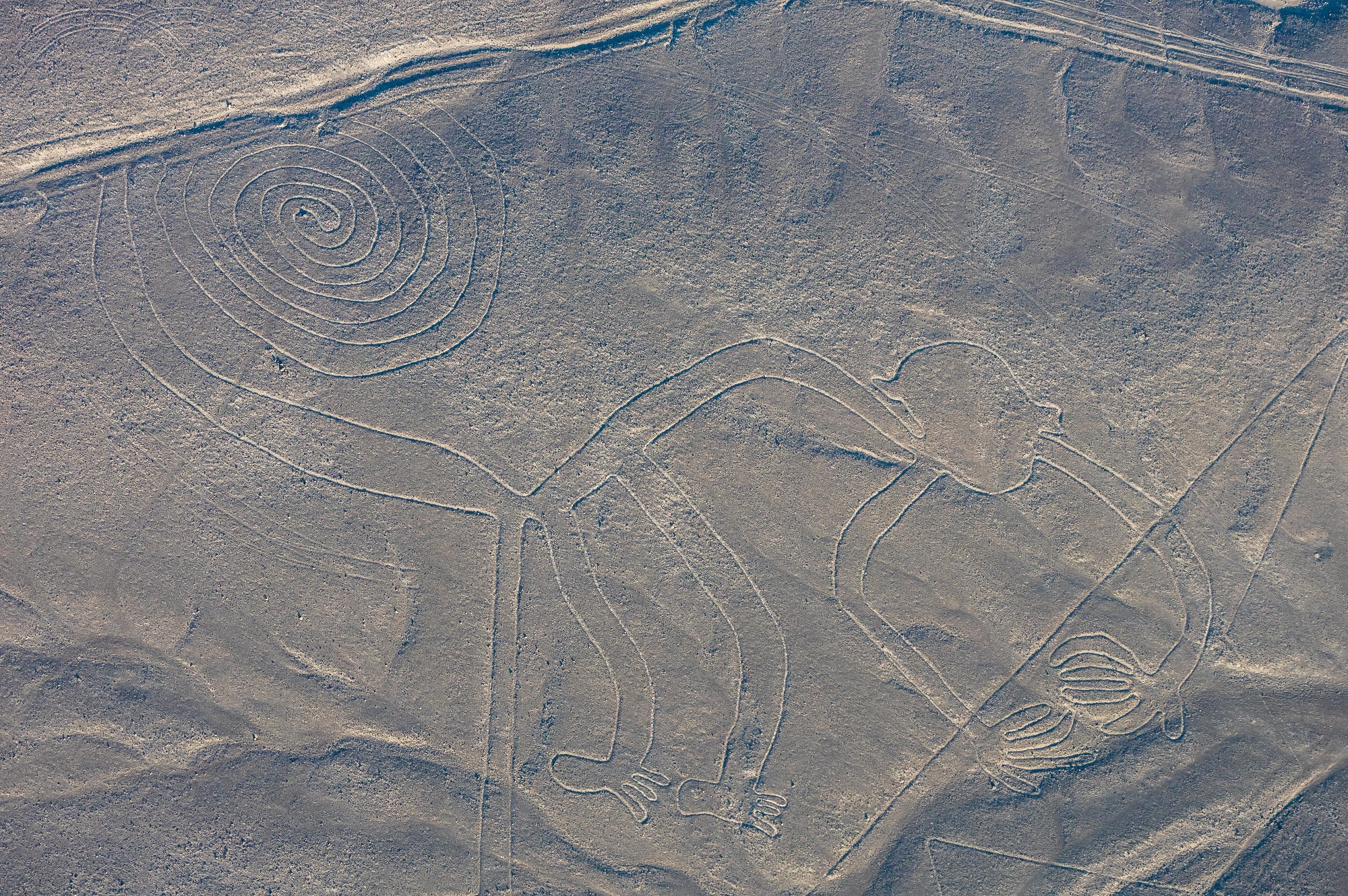 Líneas de Nazca: los misteriosos glifos que se dibujaron en el desierto peruano hace más de 1.300 años