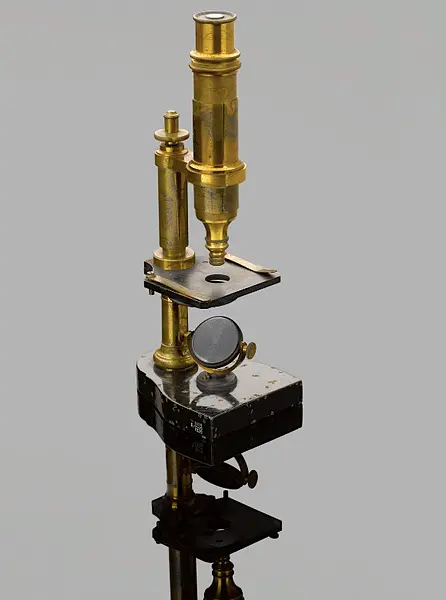 El microscopio y la Revolución científica