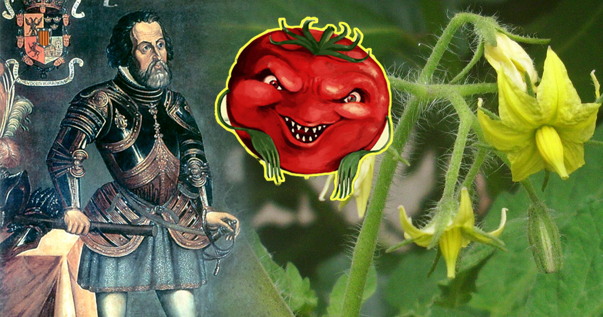 Por qué los europeos temieron a los tomates durante 200 años y los llamaron "manzanas venenosas" -Revista Interesante