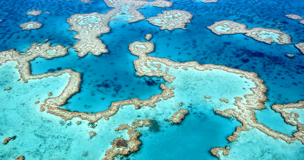 ¿Cómo se formó la Gran Barrera de Coral, la estructura viva más grande del planeta? -Revista Interesante