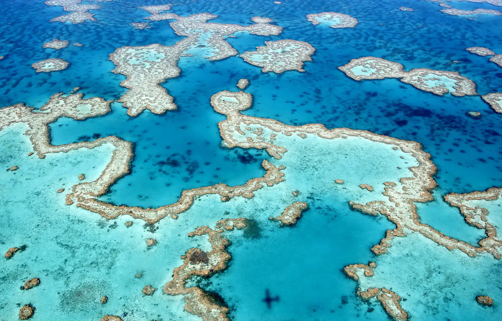 ¿Cómo se formó la Gran Barrera de Coral, la estructura viva más grande del planeta?