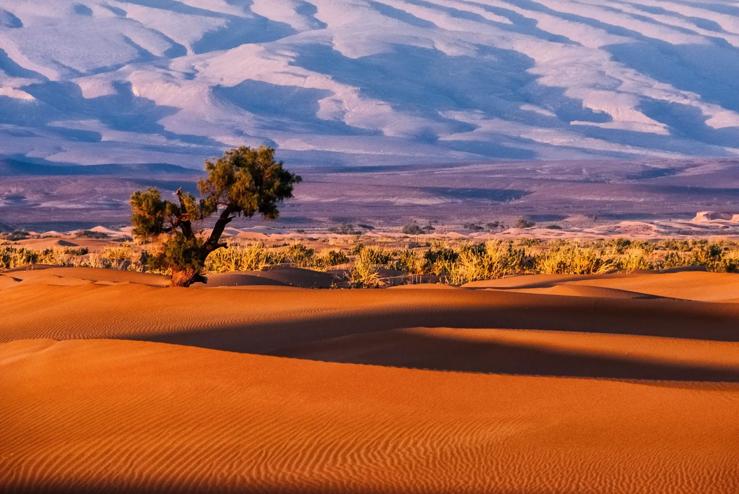 ¿Cuál es el desierto más grande del mundo?