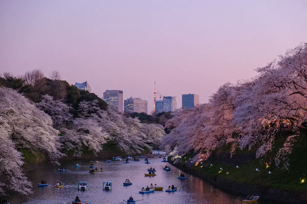 18 cosas increíbles sobre Japón