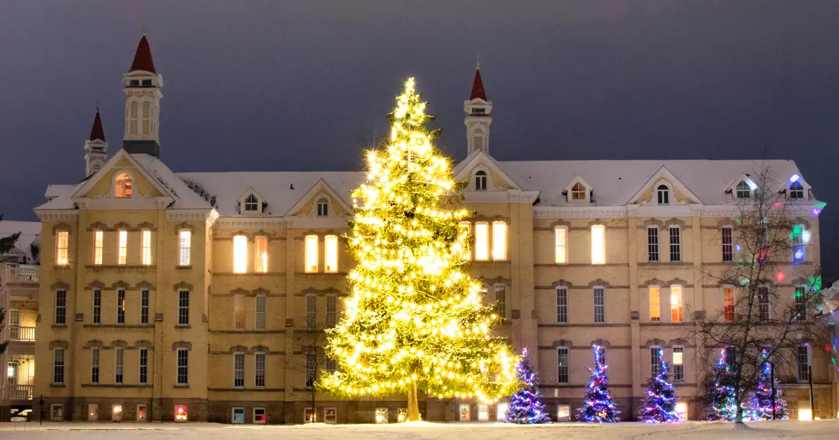 La tradición pagana que dio origen al árbol de Navidad decorado -Revista Interesante