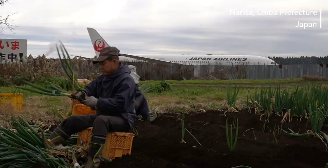 El granjero japonés que se niega a abandonar su granja y vive en medio de uno de los aeropuertos más grandes del mundo -Revista Interesante