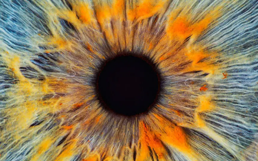 10 asombrosas curiosidades sobre el ojo humano -Revista Interesante