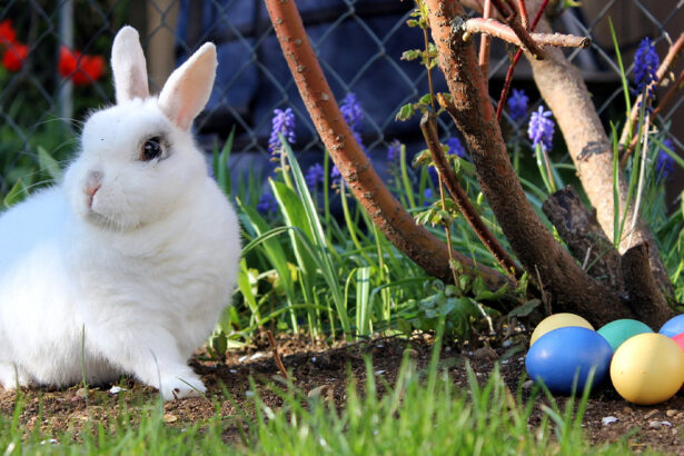 ¿Qué tienen que ver los conejitos y los huevos con la Pascua? -Revista Interesante