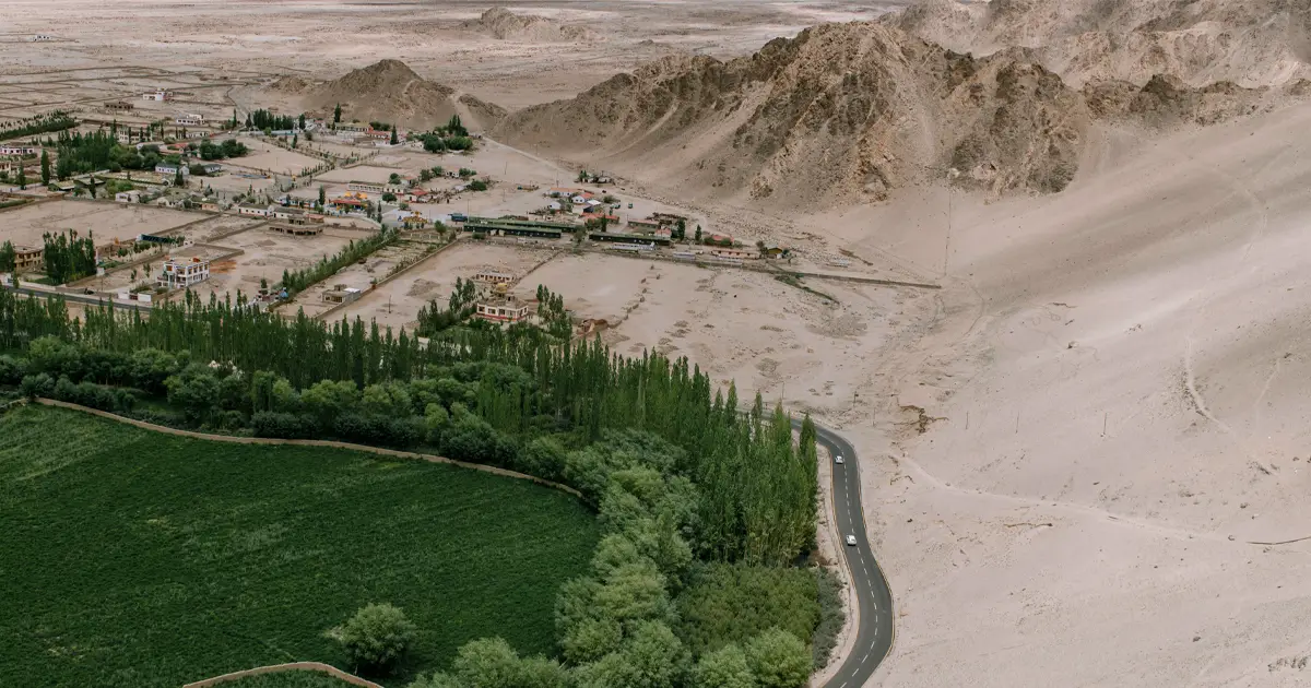 Cómo China está convirtiendo los desiertos en tierras cultivables -Revista Interesante