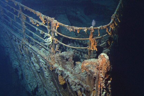 ¿Por qué no se encontraron restos humanos en los restos del Titanic? -Revista Interesante