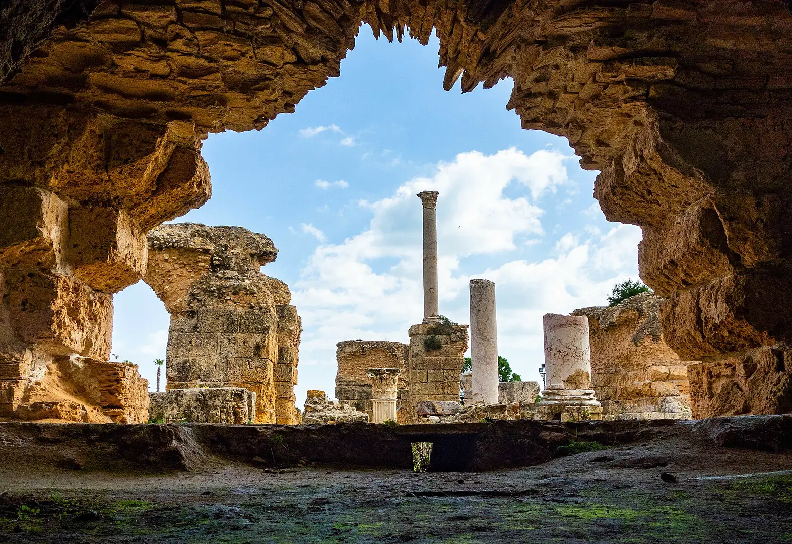 Fascinante Cartago, la gran ciudad que rivalizaba con Roma -Revista Interesante